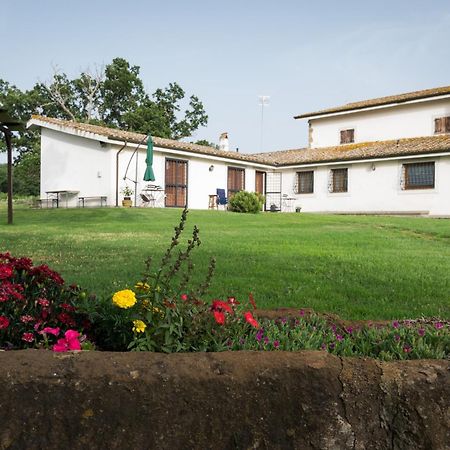 Agriturismo Il Poggio Vetralla Exterior foto