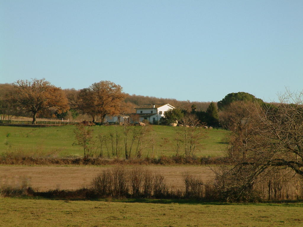 Agriturismo Il Poggio Vetralla Exterior foto