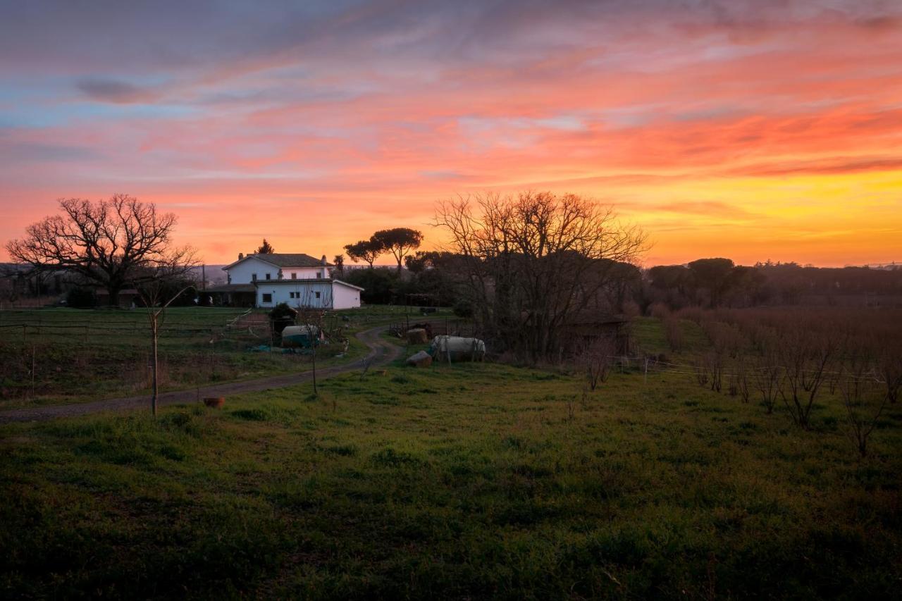 Agriturismo Il Poggio Vetralla Exterior foto