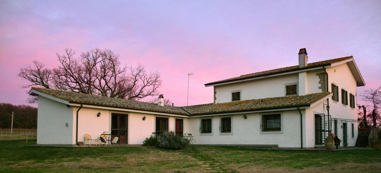 Agriturismo Il Poggio Vetralla Exterior foto