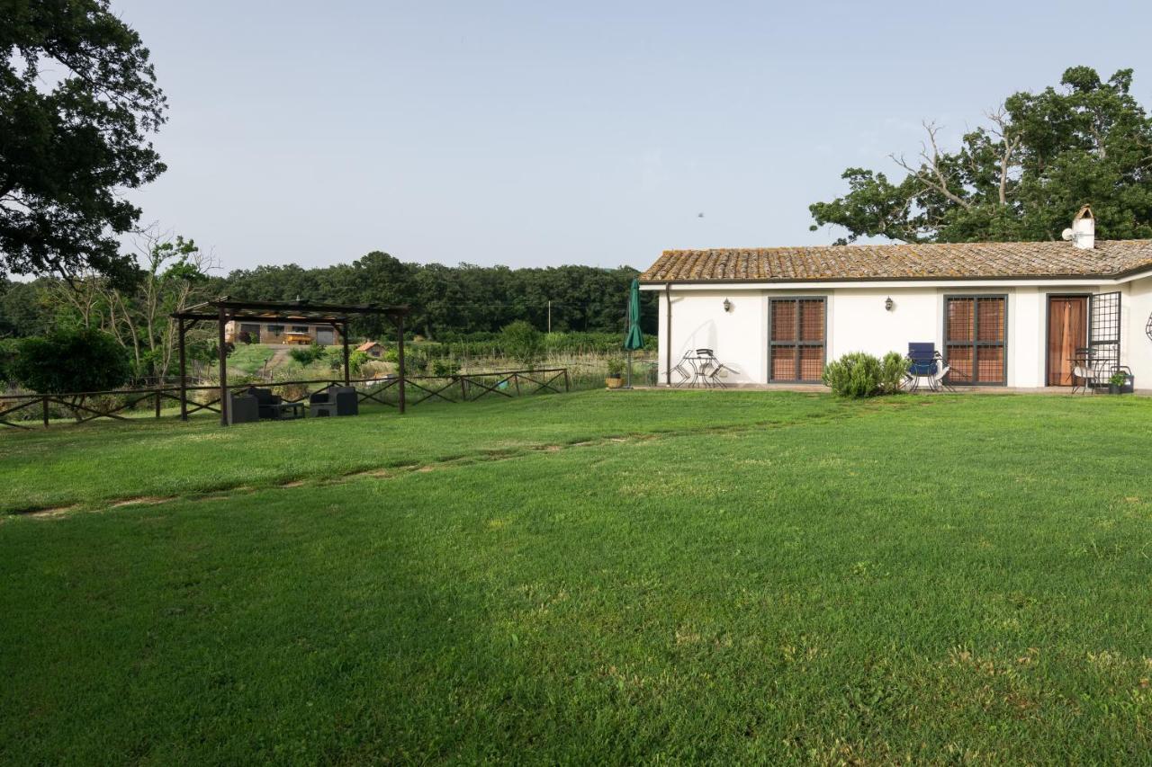 Agriturismo Il Poggio Vetralla Exterior foto