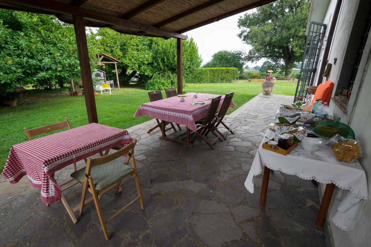 Agriturismo Il Poggio Vetralla Exterior foto
