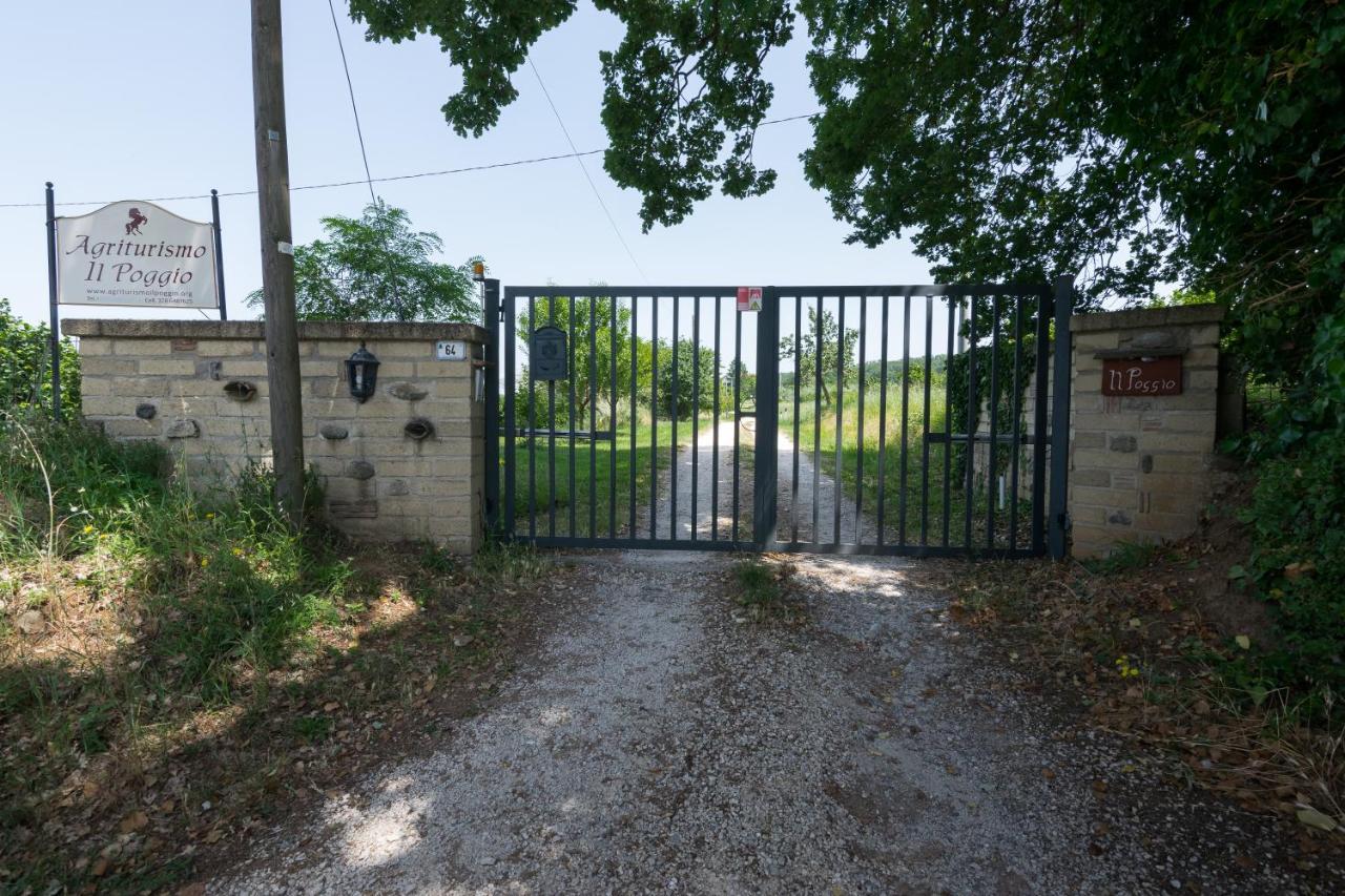 Agriturismo Il Poggio Vetralla Exterior foto