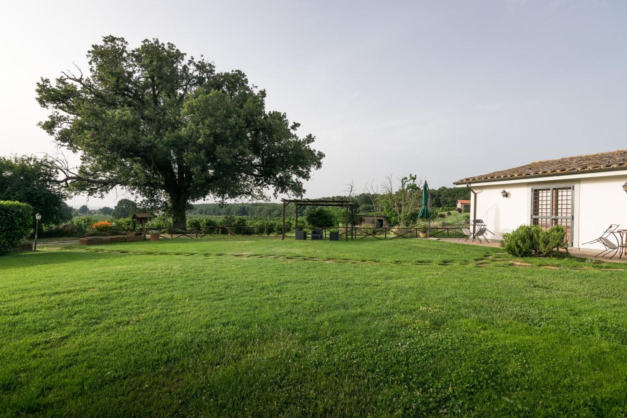Agriturismo Il Poggio Vetralla Exterior foto