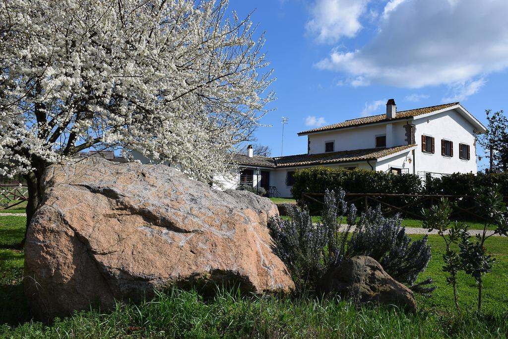 Agriturismo Il Poggio Vetralla Exterior foto